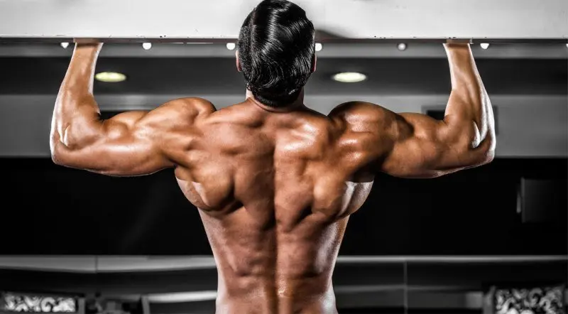 Steroids for muscle growth