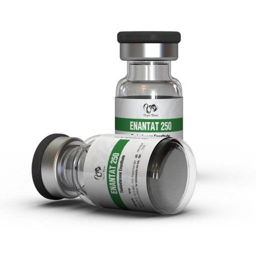 Enantat 250 - Testosterone Enanthate - Dragon Pharma, Europe