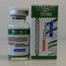 GP Test Enanth 250 -  - GP Test Enanth 250 -  -